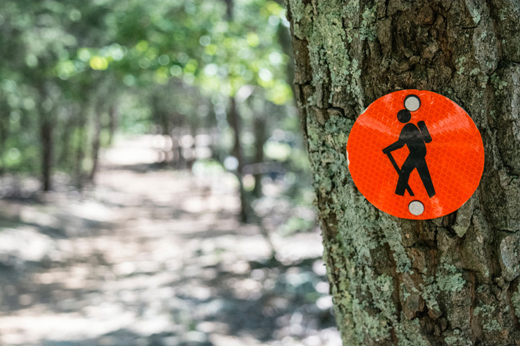Manners for the Masses: How Not to Be a Jerky Jogger